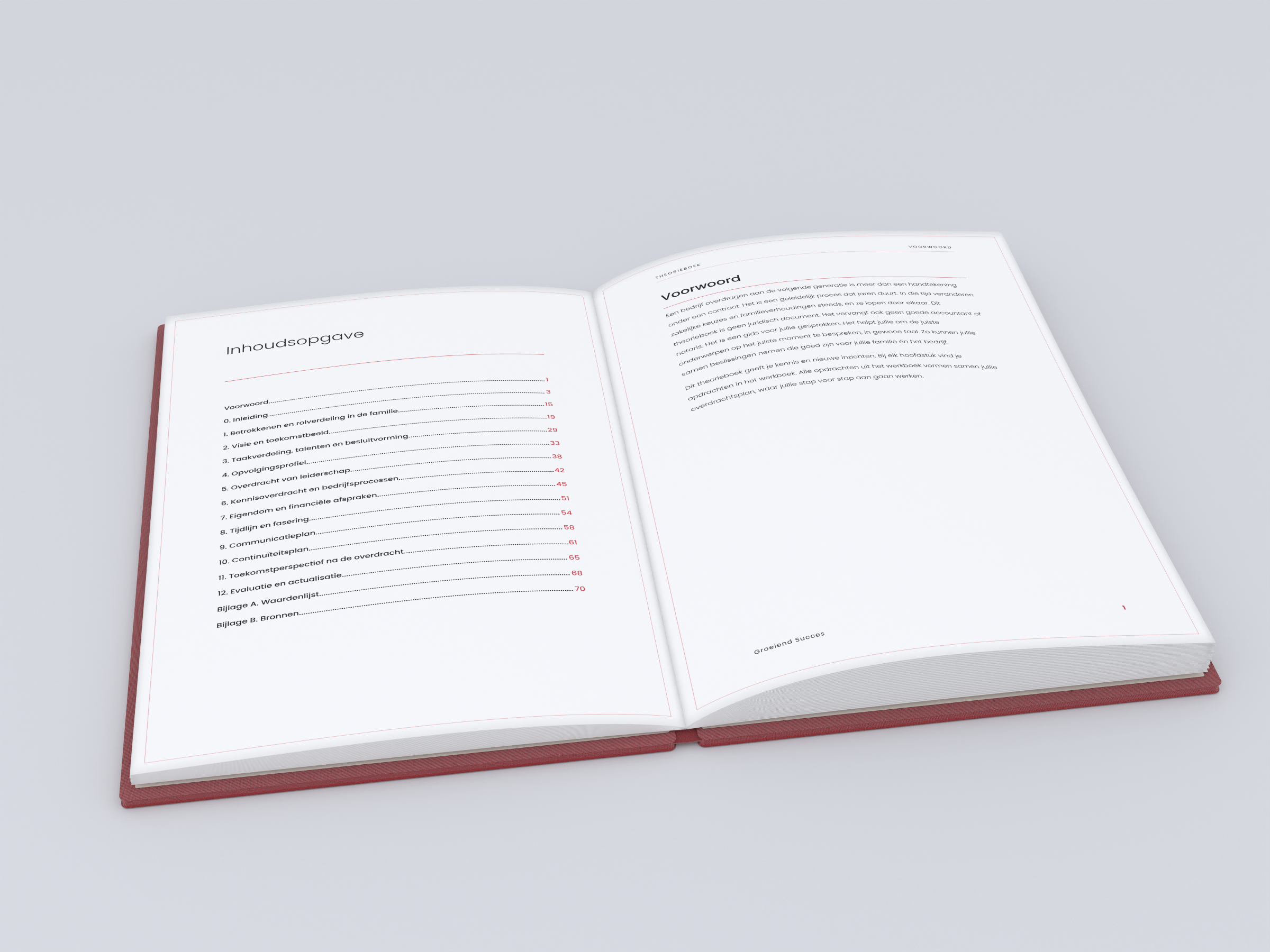 Het Overdrachtsplan: theorieboek en werkboek voor bedrijfsoverdrachten